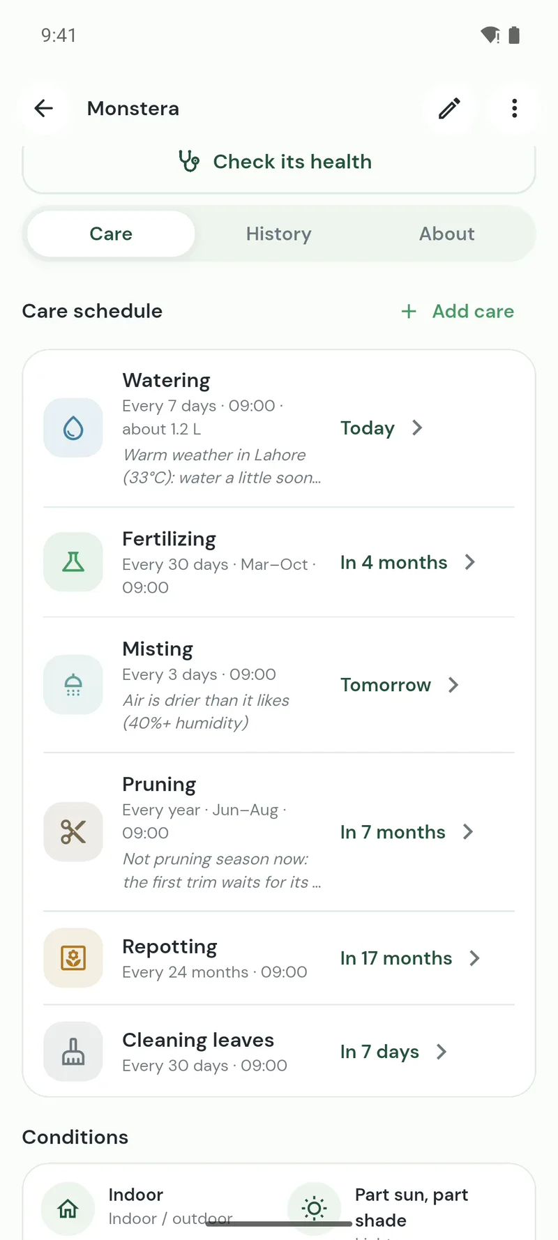 A Monstera’s care schedule: watering every 7 days, about 1.2 L, adjusted for warm weather