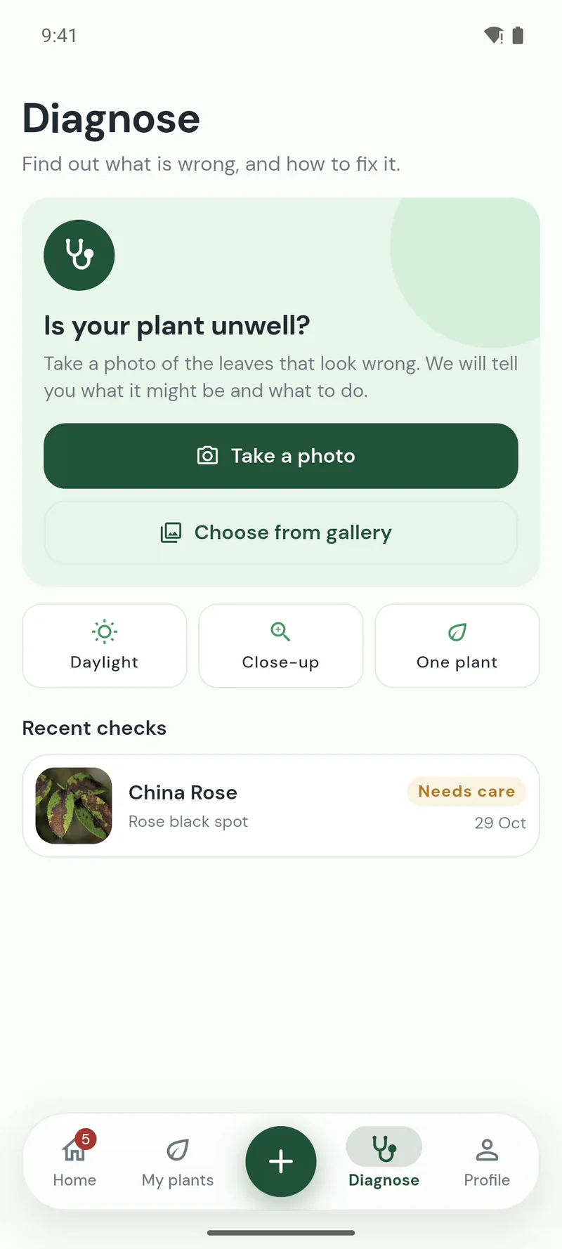 A plant health check result: rose black spot, with why it happens and what to do